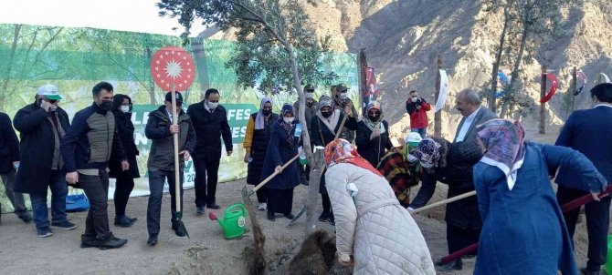 Artvin’de 10 Bin Fidan Toprakla Buluştu