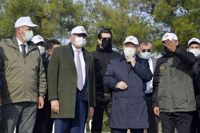 Manisa İl Genelinde 77 Bin Fidan Toprakla Buluştu