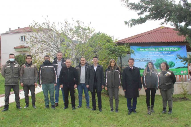 Türkeli’de "11 Kasım Milli Ağaçlandırma Günü" Etkinliği