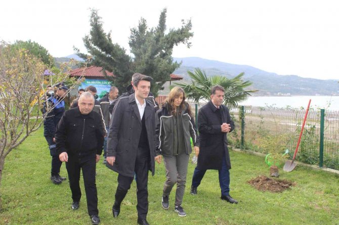 Türkeli’de "11 Kasım Milli Ağaçlandırma Günü" Etkinliği