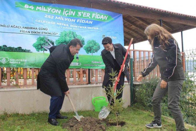 Türkeli’de "11 Kasım Milli Ağaçlandırma Günü" Etkinliği