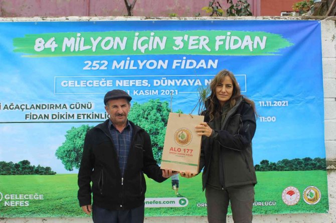 Türkeli’de Vatandaşlara Ücretsiz Fidan Dağıtımı