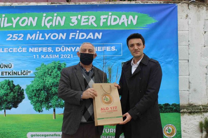 Türkeli’de Vatandaşlara Ücretsiz Fidan Dağıtımı