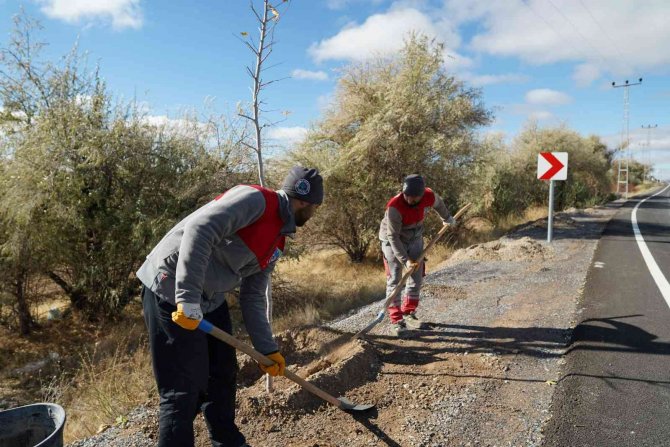 Melikgazi Belediyesi Bin 111 Fidanı Toprakla Buluşturdu