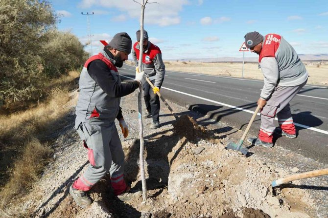 Melikgazi Belediyesi Bin 111 Fidanı Toprakla Buluşturdu