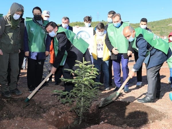Körfez’de 5 Bin Fidan Dikildi