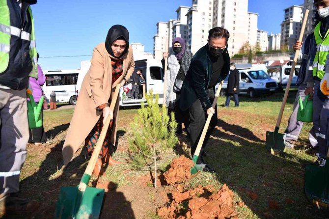 Başkan Yazıcı, Çocuklar İle Birlikte Fidan Dikti