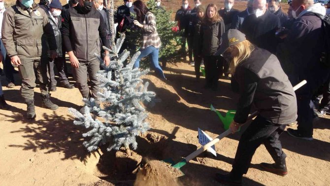 Uşak’ta Hedef 1 Milyon 107 Bin Fidan
