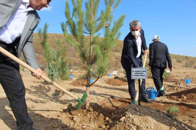 Bingöl’de 40 Bin Fidan Toprakla Buluşturuldu