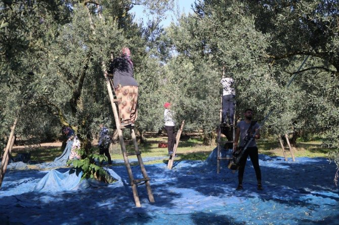 Marmarabirlik’ten 35 Milyon Tl’lik Ödeme
