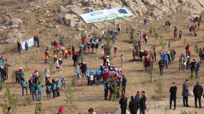Van’da 40 Bin Ağaç Toprakla Buluşturuldu