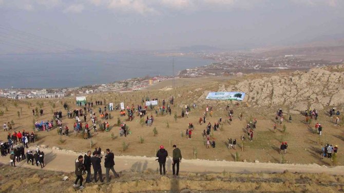 Van’da 40 Bin Ağaç Toprakla Buluşturuldu