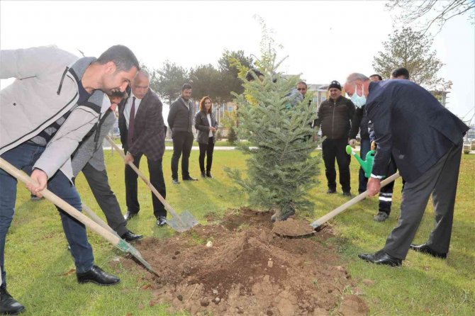 Tuşba Belediyesi’nden Milli Ağaçlandırma Günü Etkinliği