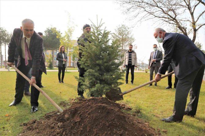 Tuşba Belediyesi’nden Milli Ağaçlandırma Günü Etkinliği