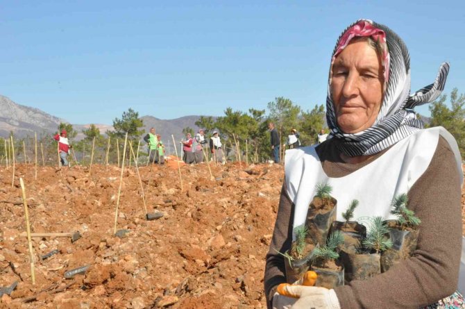 Mersin’de Yanan Ormanlık Alanlar Fidanla Buluştu