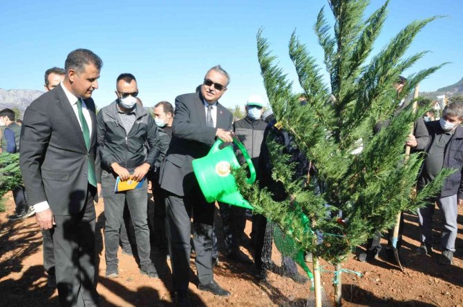 Mersin’de Yanan Ormanlık Alanlar Fidanla Buluştu