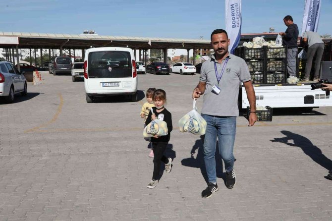 Bodrum Belediyesi Üreticiye Destek Olmaya Devam Ediyor