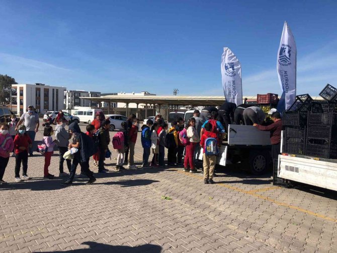 Bodrum Belediyesi Üreticiye Destek Olmaya Devam Ediyor