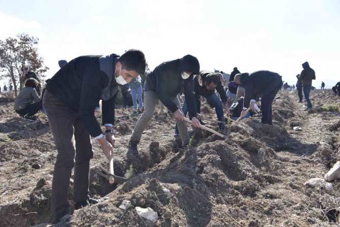 Anadolu Üniversitesi De Millî Ağaçlandırma Günü’ne Destek Verdi