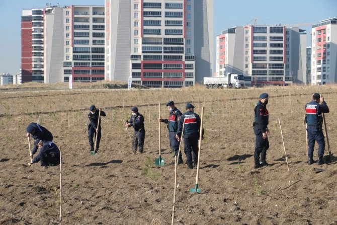 Ankara İ̇l Jandarma Komutanlığı Tarafından “Geleceğe Nefes Dünyaya Nefes” Etkinliği