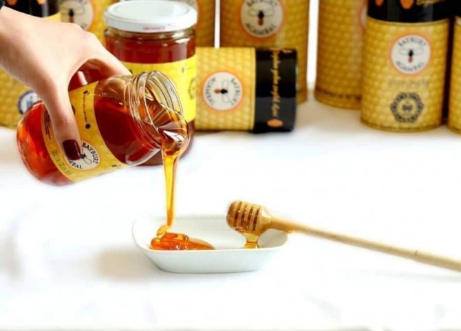 ‘Arılığım Hareketli Ürünüm Bereketli’ Projesi Destek Almaya Hak Kazandı