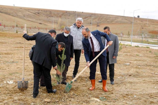 Öğrenciler Fidanları Toprakla Buluşturdu