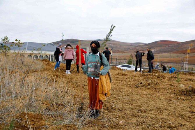 Öğrenciler Fidanları Toprakla Buluşturdu