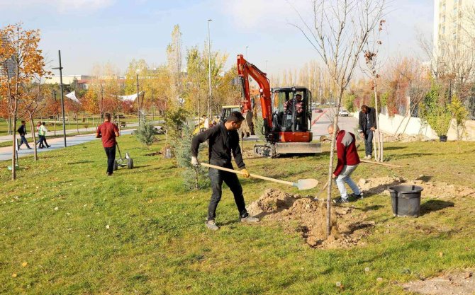 Çankaya Parklarına Sonbahar Bakımı