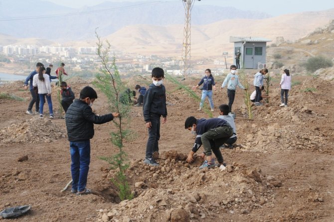Cizre’de Öğrenciler Emniyet Bahçesine Fidan Dikti