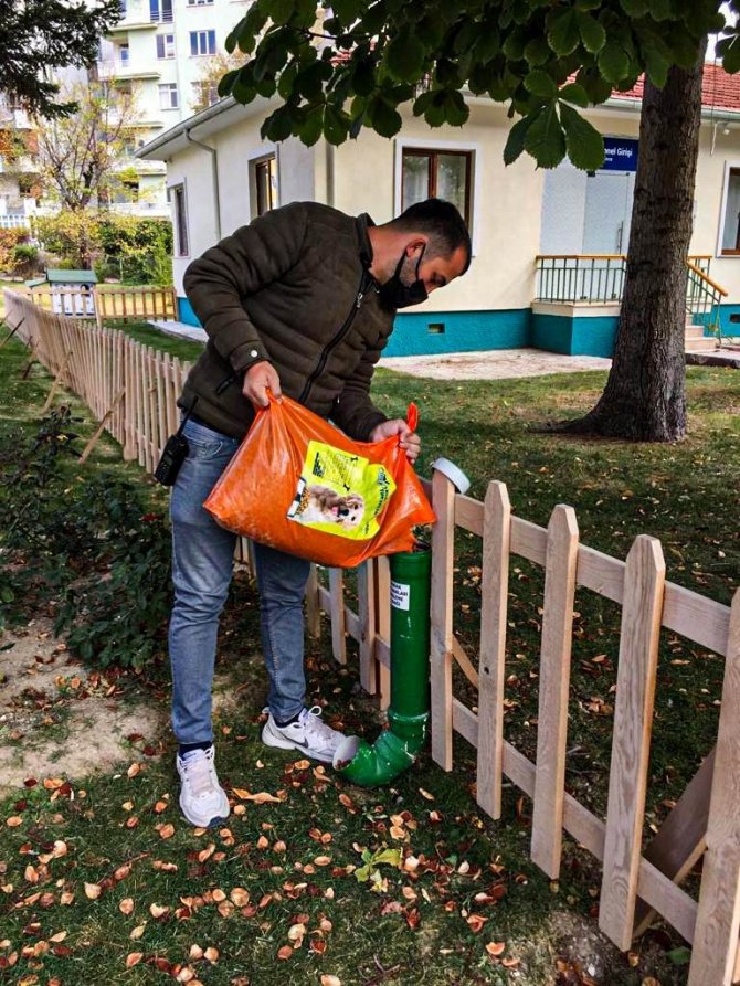 Ereğli’de Sokak Hayvanları Kısırlaştırılıyor