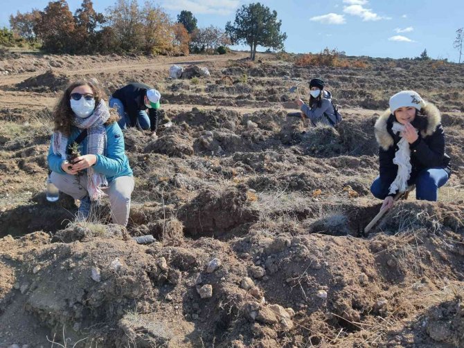 Denetimli Serbestlik Personelleri Bin Tane Fidan Dikti