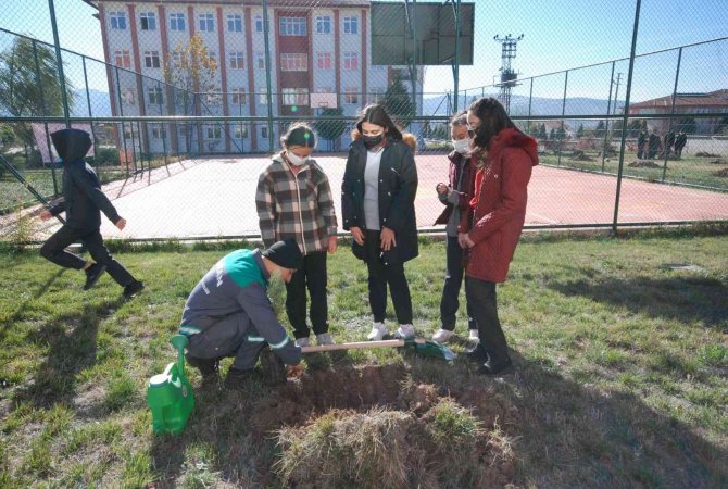 Gediz’de 300 Fidan Toprakla Buluştu