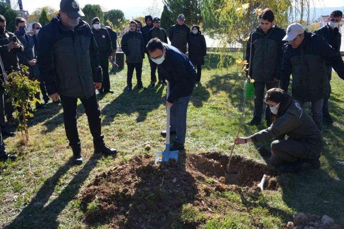 Gediz’de 300 Fidan Toprakla Buluştu