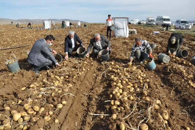 Gümüşhane’de Patates Hasadı Tarla Günü Düzenlendi
