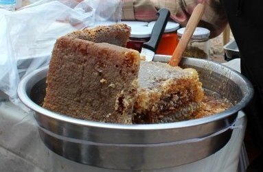Bal Rekoltesi Her Yıl Düşüyor