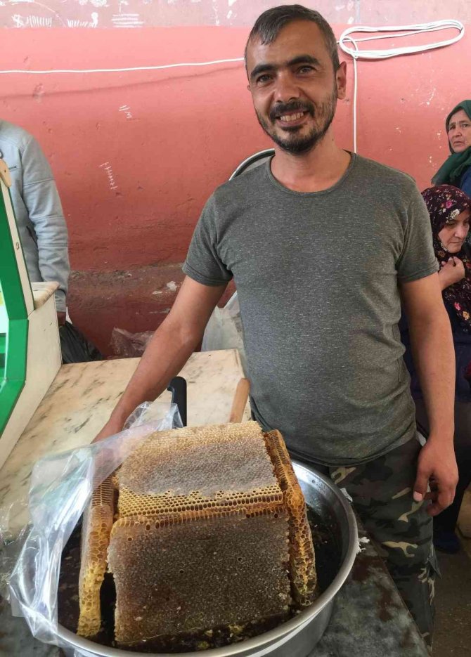 Bal Rekoltesi Her Yıl Düşüyor
