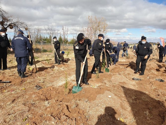Jandarma Personeli “Geleceğe Nefes” Projesi Kapsamında Bin 500 Ağaç Dikti