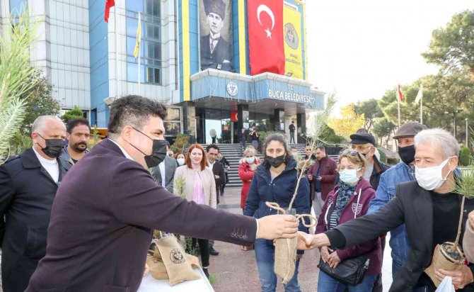 Buca Belediyesi’nden Vatandaşlara 3 Bin Fidan