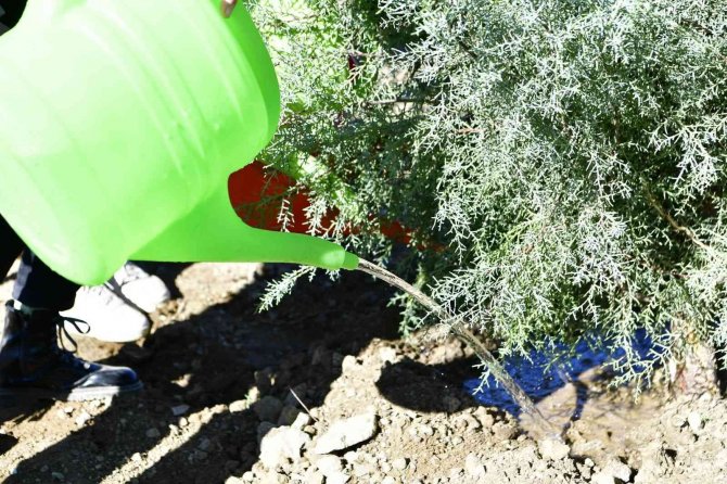 Milli Ağaçlandırma Günü’nde Öğrenciler Fidanları Toprakla Buluşturdu