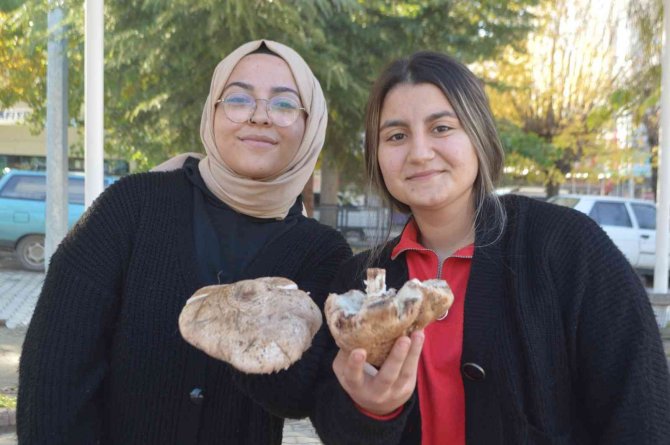 Tavşanlı’da Mantar Satışları Başladı
