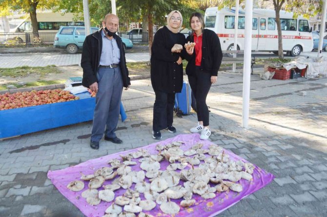 Tavşanlı’da Mantar Satışları Başladı