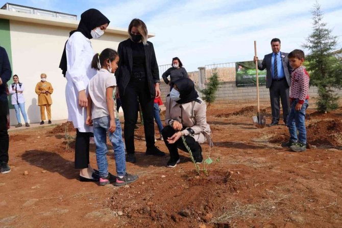 Mardin’de Geleceğin Teminatı Öğrencilerle Fidan Dikimi Gerçekleştirildi
