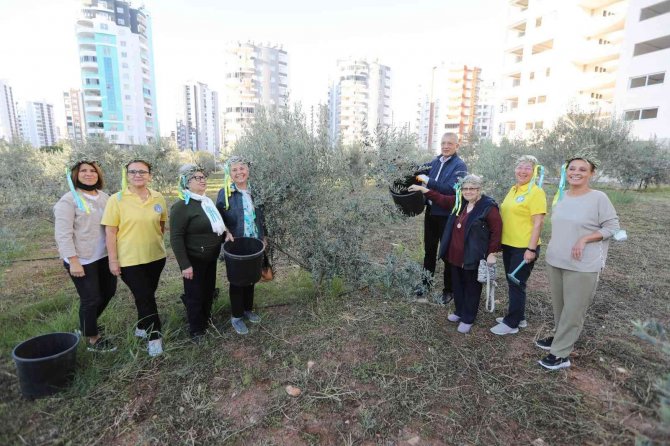 Mezitli’de Zeytinler, Kadınların Güçlendirilmesi Ve Kız Çocuklarının Okutulması İçin Toplandı