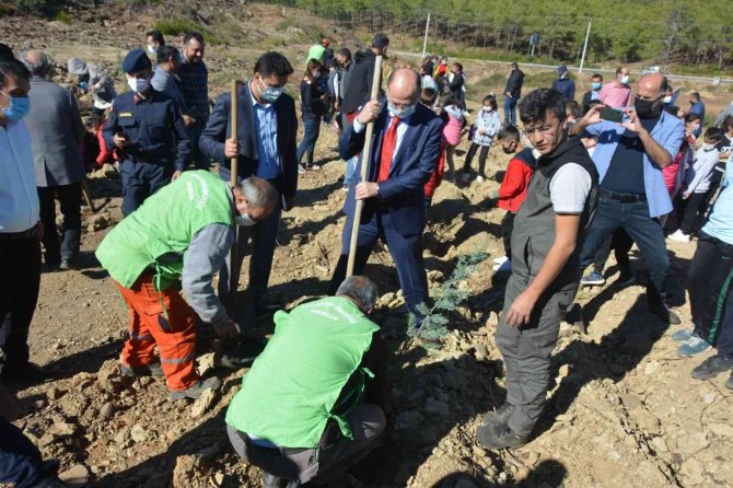 Bozyazı’da Bin Çam Fidanı Toprakla Buluştu