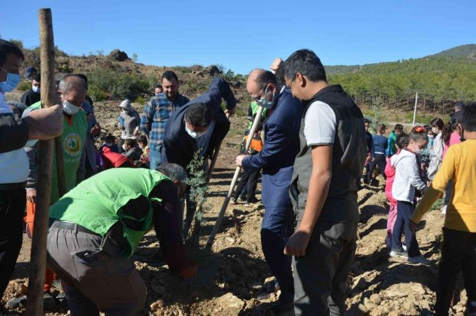 Bozyazı’da Bin Çam Fidanı Toprakla Buluştu