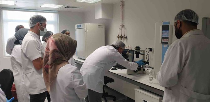 Omü’de Kök Hücre Temel Uygulama Eğitimi