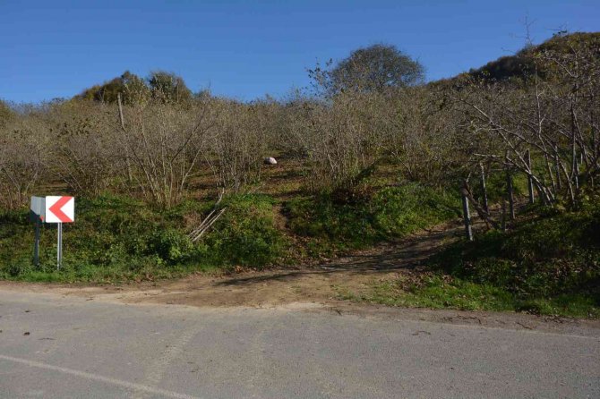 Otlatma Tartışması Kanlı Bitti: 1 Ölü