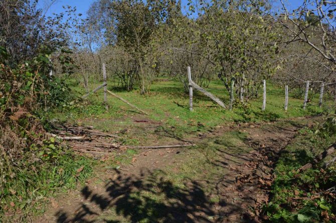 Otlatma Tartışması Kanlı Bitti: 1 Ölü