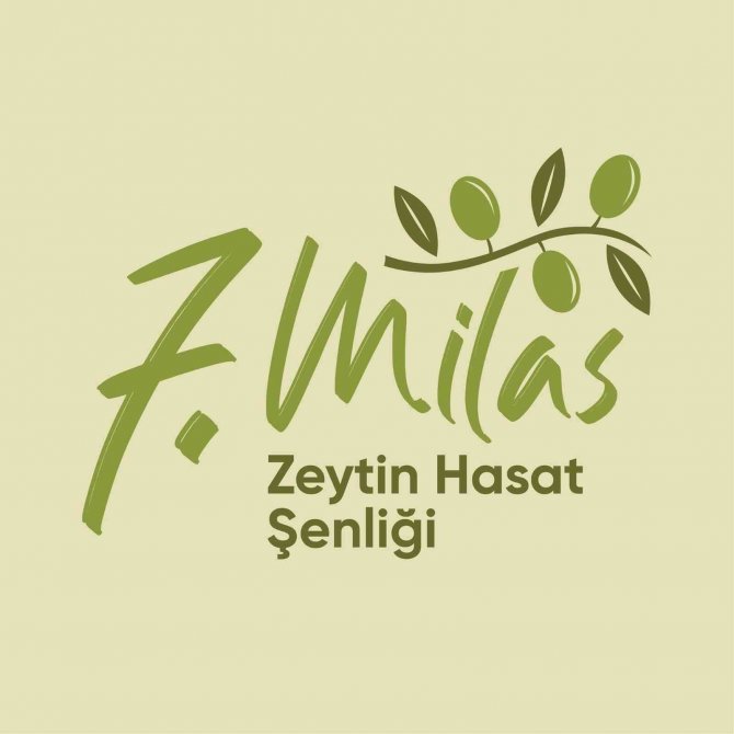 Milas Zeytin Hasat Şenliği Yarın Başlıyor