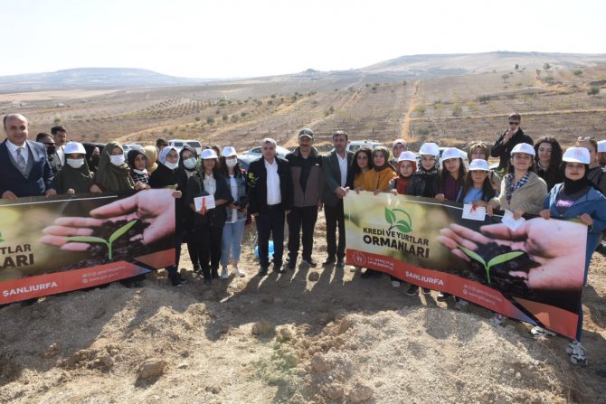 Şanlıurfa’da Binlerce Ağaç Toprakla Buluştu